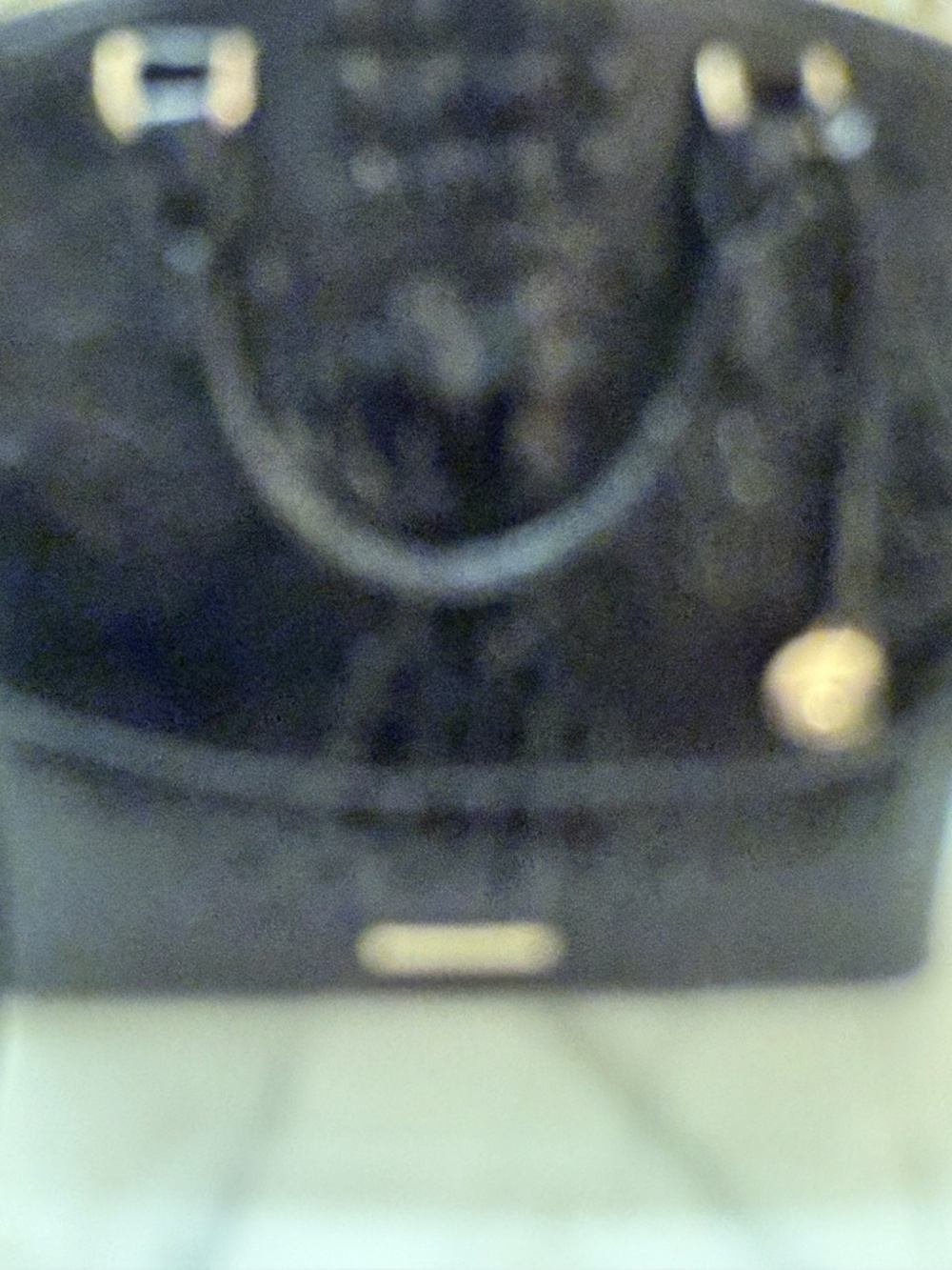 Brahmin - Picture 2 of 8